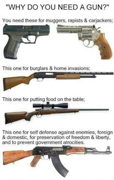 Handgun, shotgun, or rifle for your 1st firearm?
